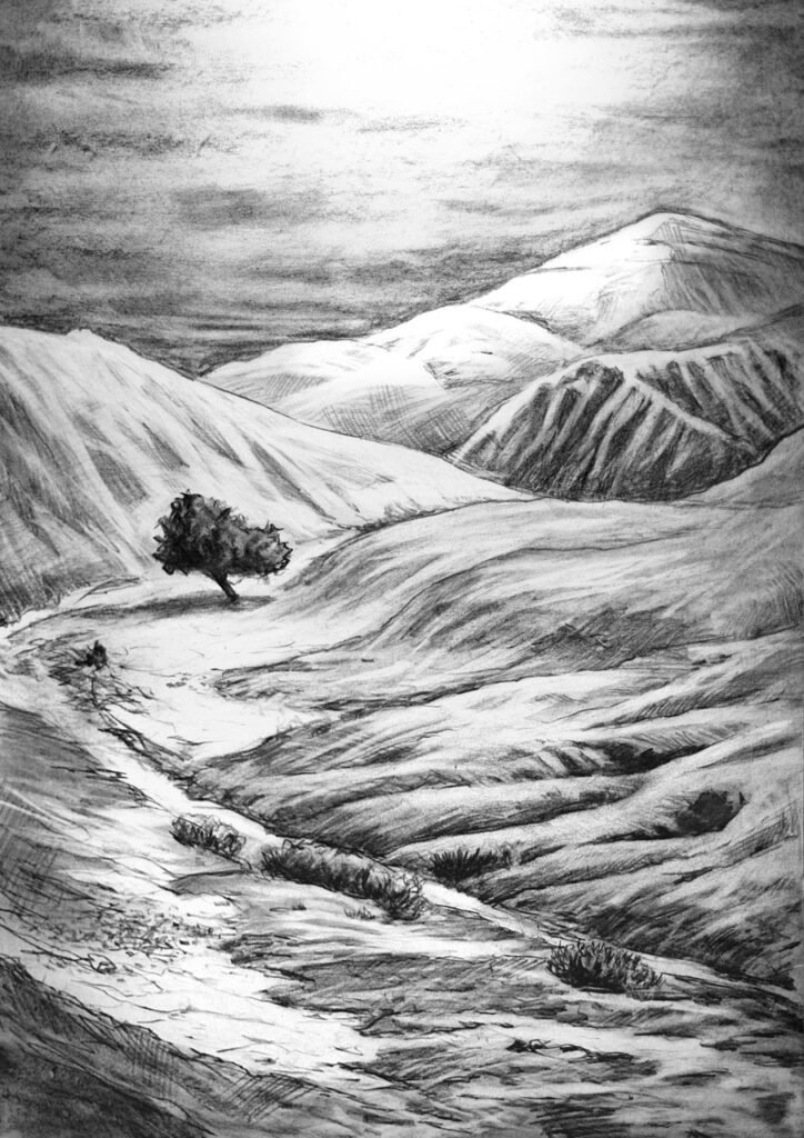 13 Israel Desret